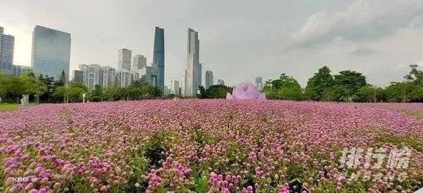 vivox50多少钱_vivo x50价格是多少