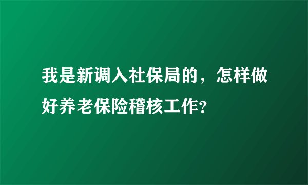 我是新调入社保局的，怎样做好养老保险稽核工作？