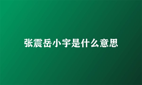 张震岳小宇是什么意思