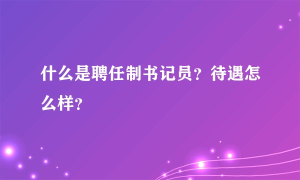 什么是聘任制书记员？待遇怎么样？