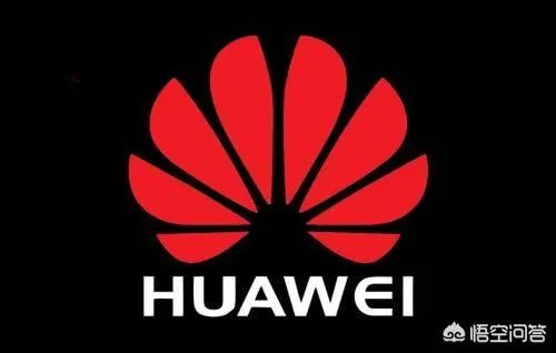 中国最大的私人企业？