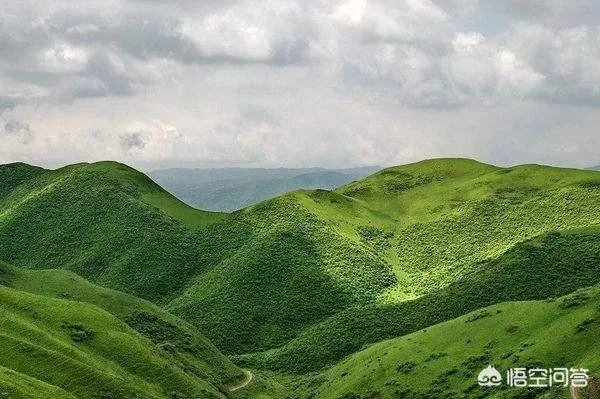 天水有哪些主要景点？