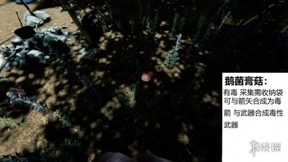 《森林》游戏植物有什么 the forest植物图鉴分享