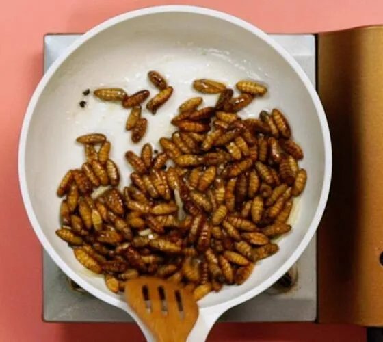 蚕蛹怎么吃