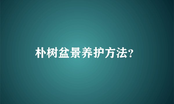 朴树盆景养护方法？