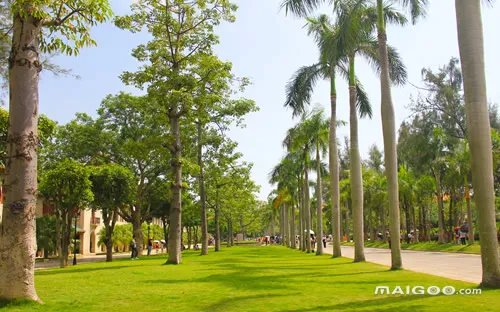 厦门景点大全 厦门好玩的地方推荐 厦门旅游地图