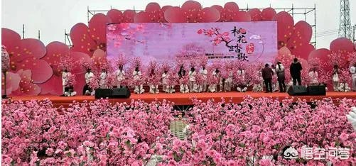 蒋大为唱的那首《在那桃花盛开的地方》，到底是哪个地方？