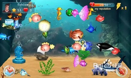 水族馆的游戏攻略