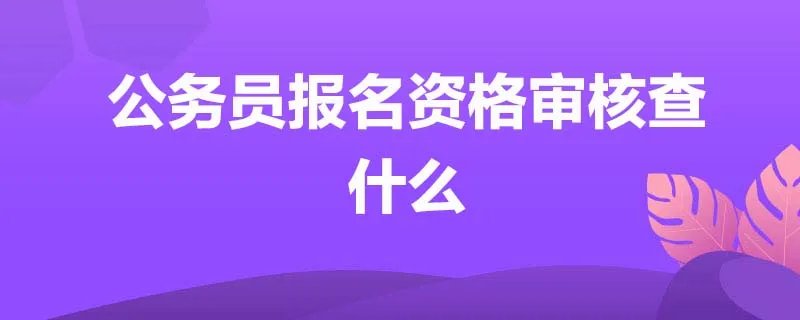 公务员报名资格审核查什么