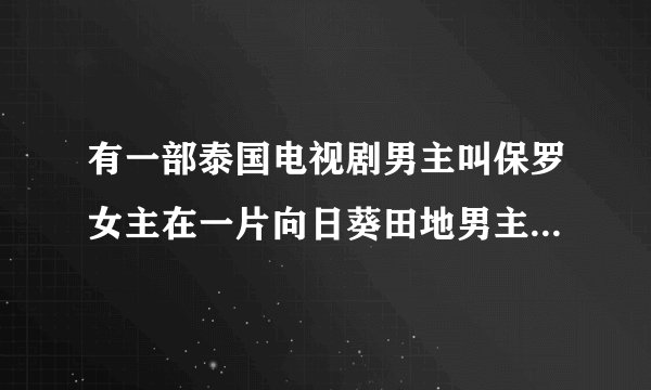 有一部泰国电视剧男主叫保罗女主在一片向日葵田地男主拿着相机看见女主一见钟情那部电视剧叫什么名字啊？