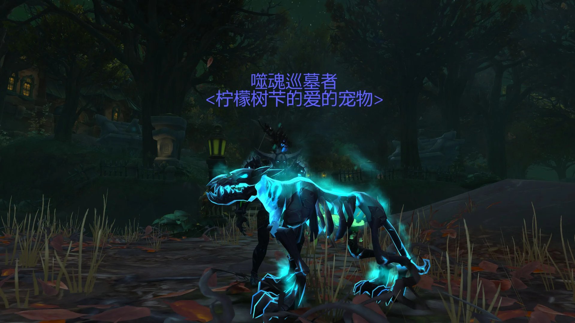 《魔兽世界》幽灵犬抓取地点