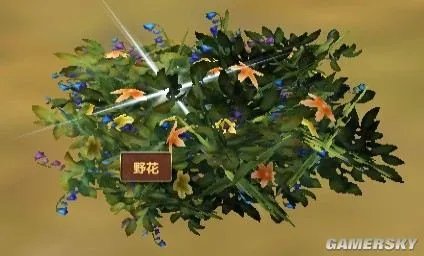 《模拟人生：中世纪》草药种类及分布图