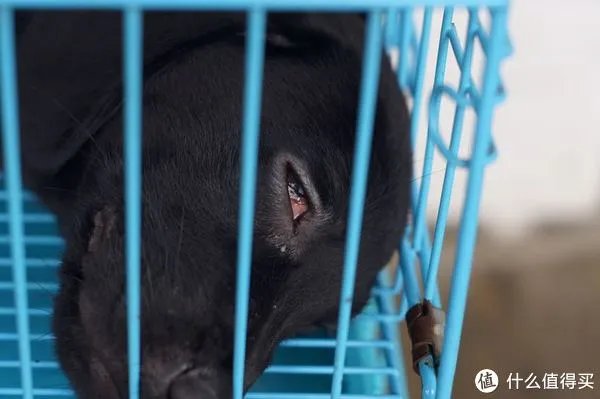 摄影器材 篇一：索尼微单nex6十万快门有感 多个镜头评测