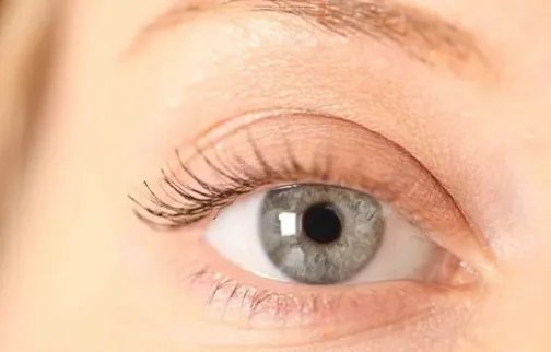 十大美瞳品牌排行榜是怎么样的？