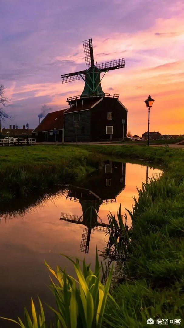 为什么说“人生实苦”？