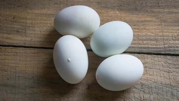 孕妇能吃鹅蛋吗