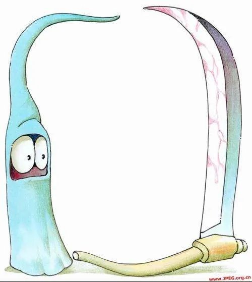 二年级语文手抄报怎么办