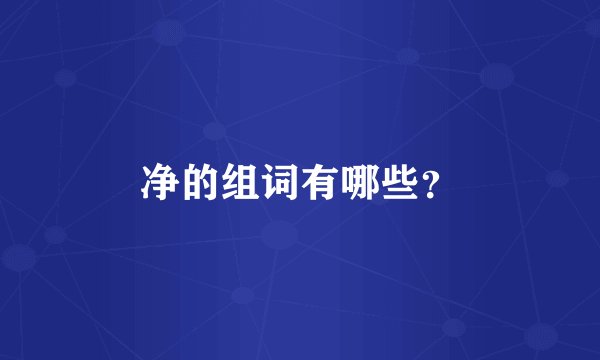 净的组词有哪些？