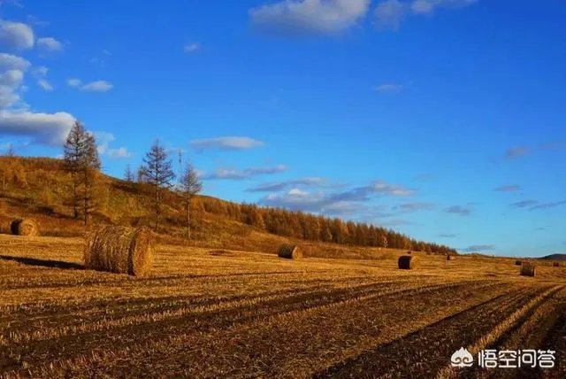 大兴安岭,这么美,你会去看看吗?