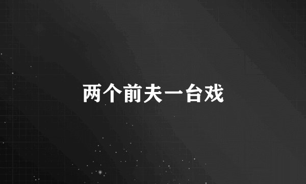 两个前夫一台戏