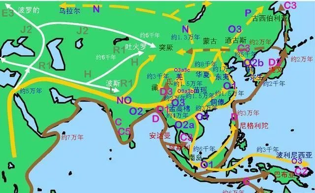 琉球语是什么类型