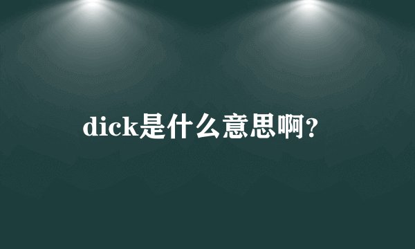 dick是什么意思啊？