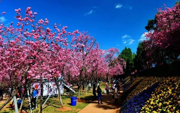 湖南科技大学很垃圾吗