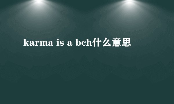 karma is a bch什么意思