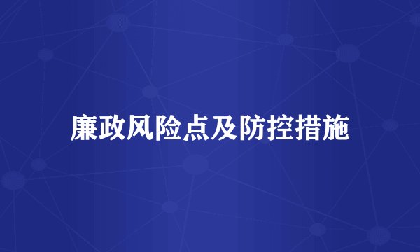 廉政风险点及防控措施