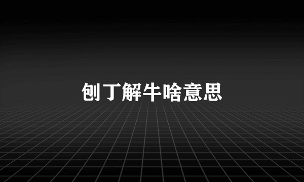 刨丁解牛啥意思