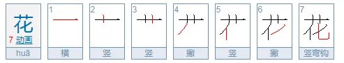 花的笔顺怎么写的