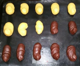 家族的秘密---黑天鹅与白天鹅(BLACK SWAN AND WHITE SWAN)