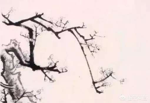 国画梅花图解教程？