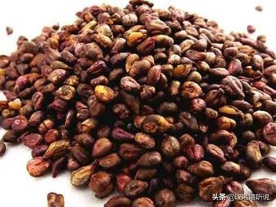 葡萄籽怎么吃？