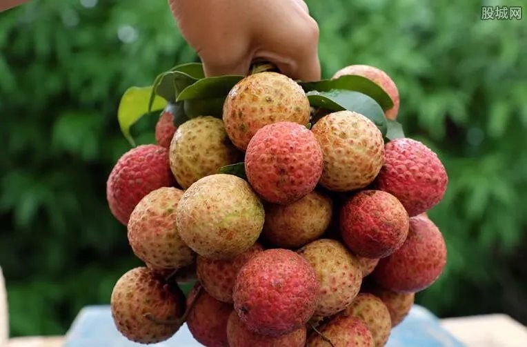 妃子笑荔枝多少钱一斤 什么时候上市？