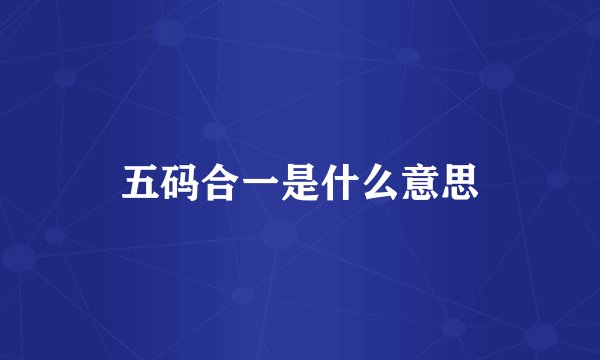 五码合一是什么意思