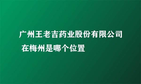广州王老吉药业股份有限公司 在梅州是哪个位置