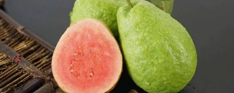 珍珠石榴功效与作用