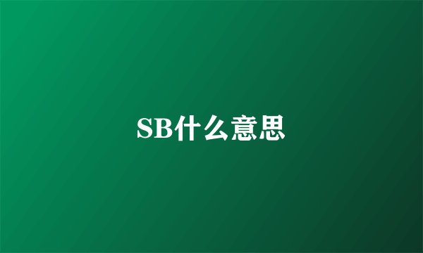 SB什么意思