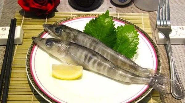 武汉人说的冰鱼是什么鱼的图片