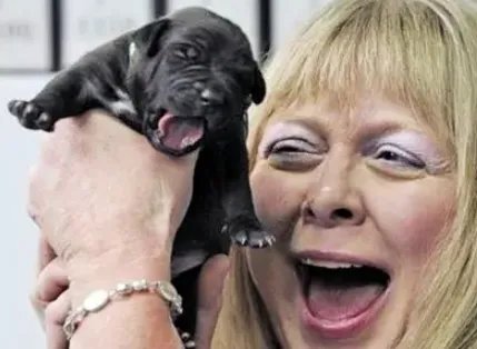 贫穷限制了想象！女子花25万克隆去世宠物狗，真能给她带来情感寄托？