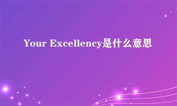 Your Excellency是什么意思
