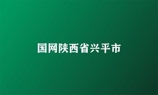 国网陕西省兴平市