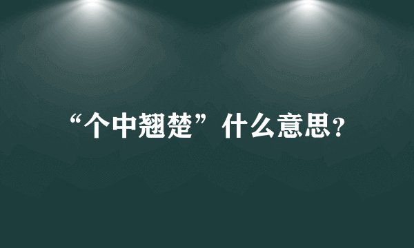 “个中翘楚”什么意思？