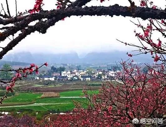 蒋大为唱的那首《在那桃花盛开的地方》，到底是哪个地方？