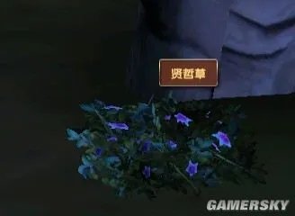 《模拟人生：中世纪》草药种类及分布图