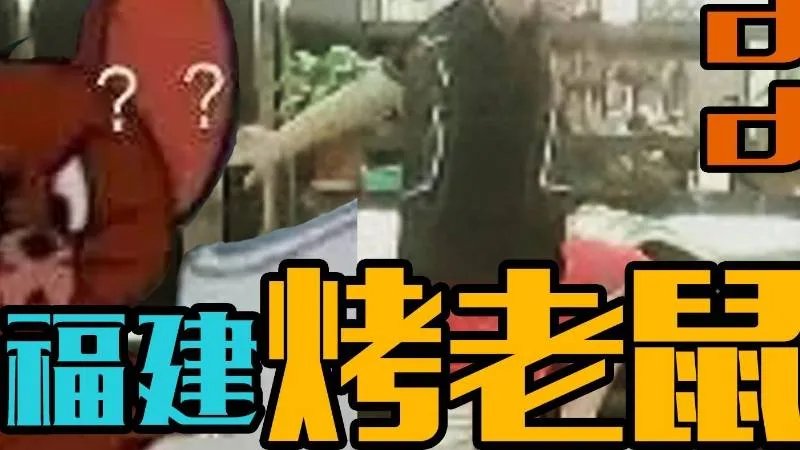 福建烤老鼠什么梗