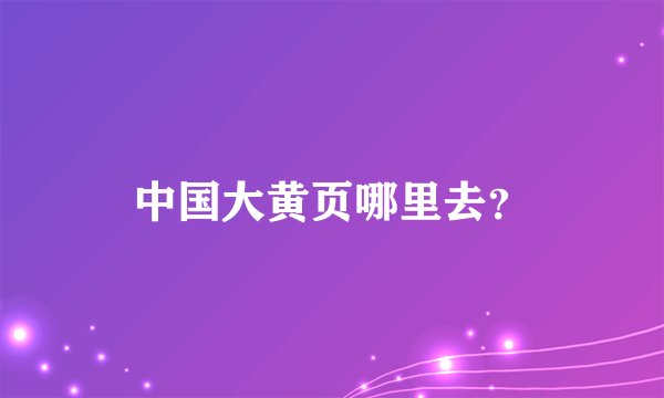 中国大黄页哪里去？