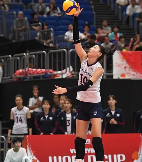 朱婷的个人资料