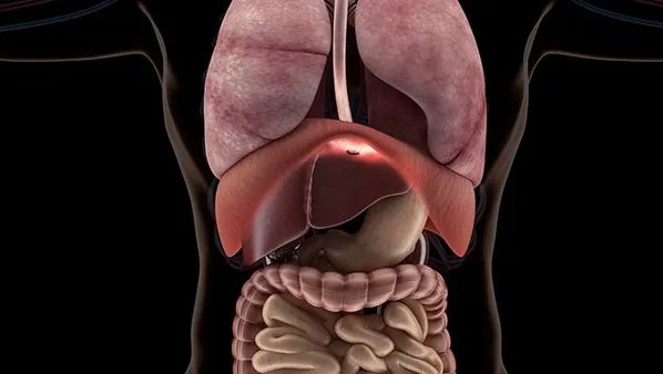 乙肝小三阳是什么